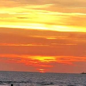 Meet your Posher, Judy